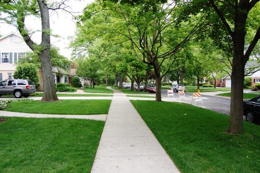 826 South Seminary Avenue Park Ridge, IL 60068 - Photo 11 of 12