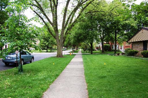 826 South Seminary Avenue Park Ridge, IL 60068 - Photo 12 of 12 a view of a park with plants and trees