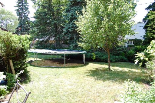 826 South Seminary Avenue Park Ridge, IL 60068 - Photo 3 of 12 a view of backyard with swimming pool