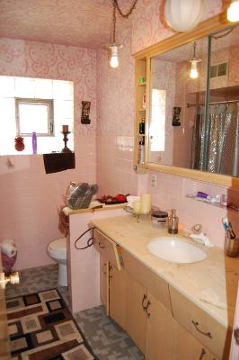826 South Seminary Avenue Park Ridge, IL 60068 - Photo 7 of 12 a bathroom with a sink toilet and mirror