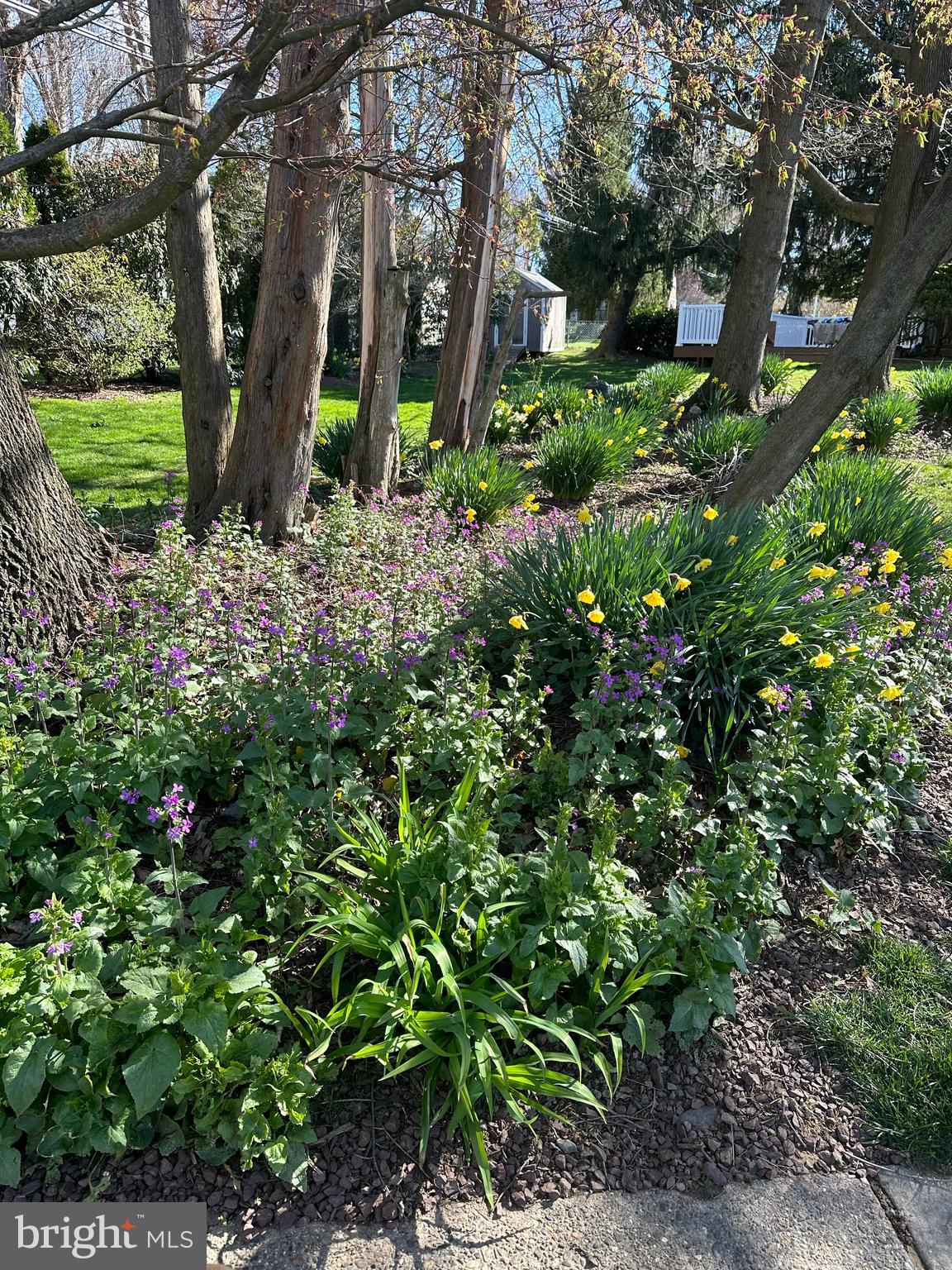 520 Stevens Road Morrisville, PA 19067 - Photo 45 of 45 Gallery Image 45