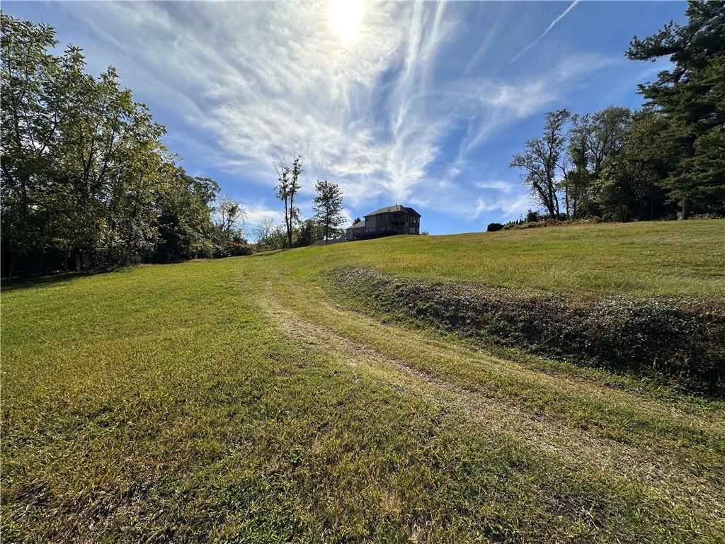 a view of a field with an trees