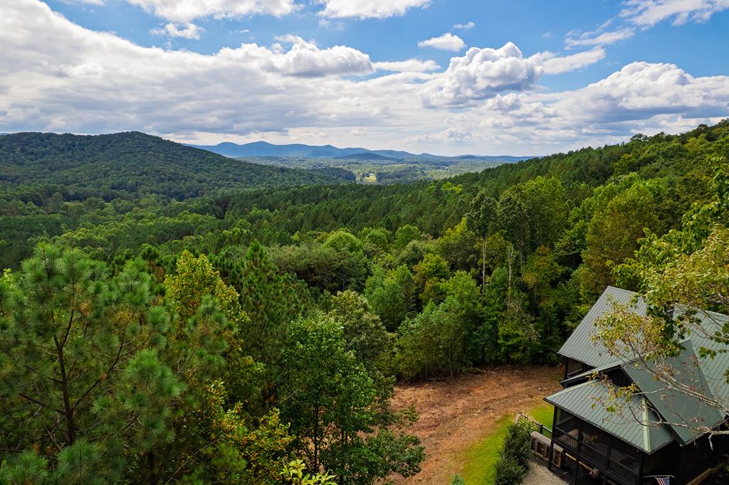 239 Ridge Top Drive Ellijay, GA 30536 - Photo 28 of 97