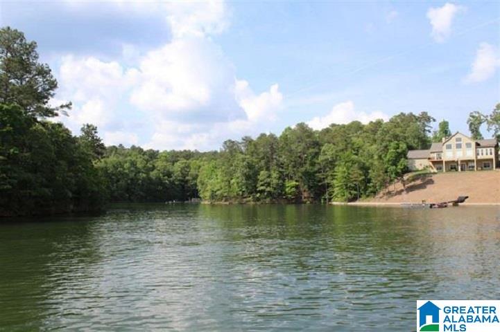Red Eye Lane, Unit 24 Wedowee, AL 36278 - Photo 2 of 5