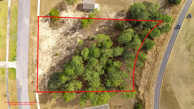 a view of a plant in a garden