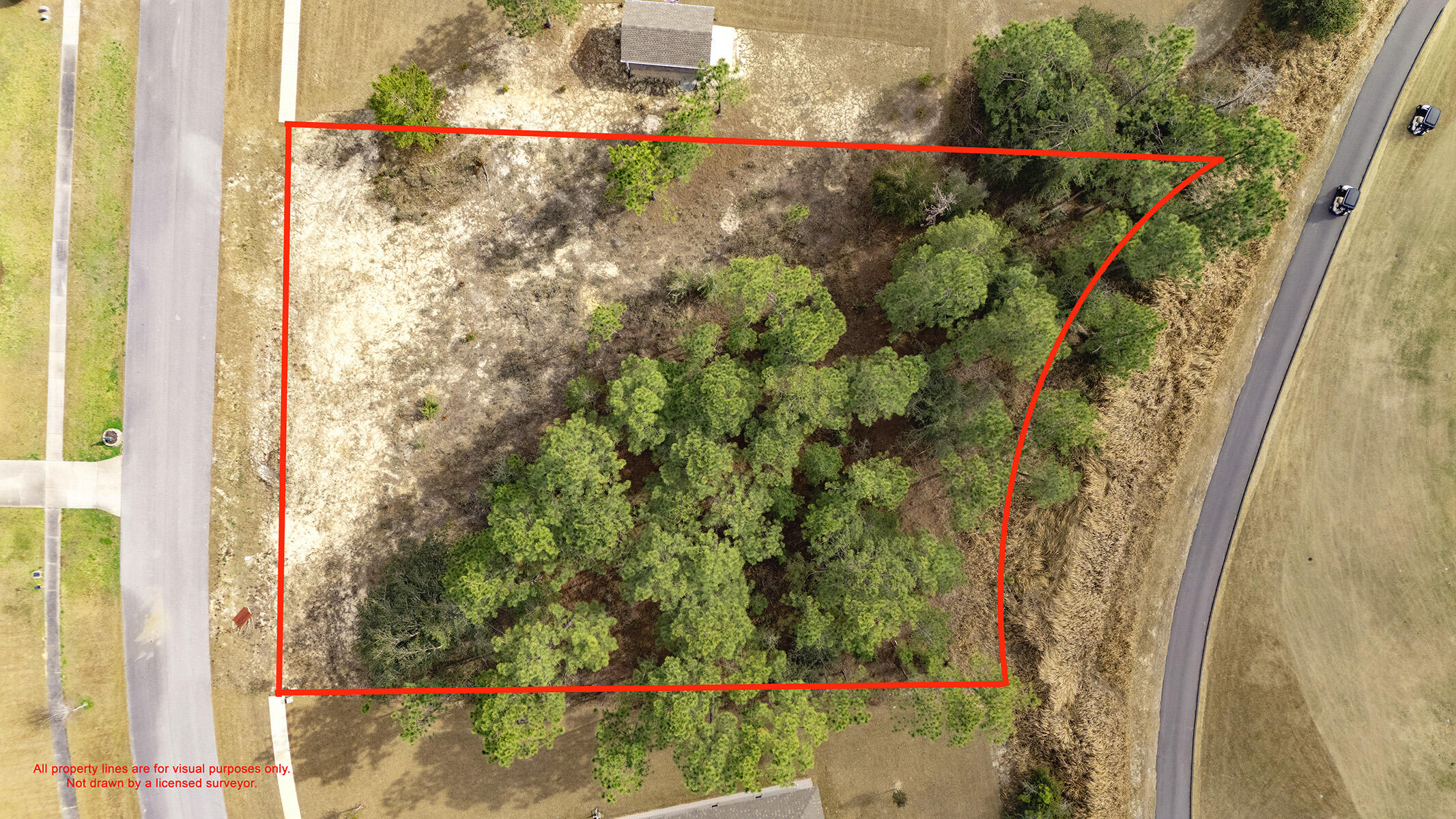 Tbd Brushed Dune Circle Freeport, FL 32439 - Photo 3 of 26 a view of a plant in a garden