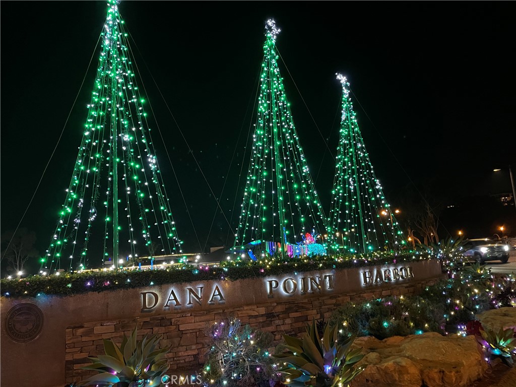 34095 Aurelio Dana Point, CA 92629 - Photo 32 of 32