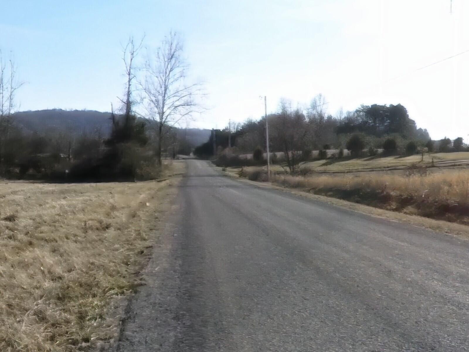 663 Fitch Road Ten Mile, TN 37880 - Photo 3 of 15 a view of a road with a dry yard