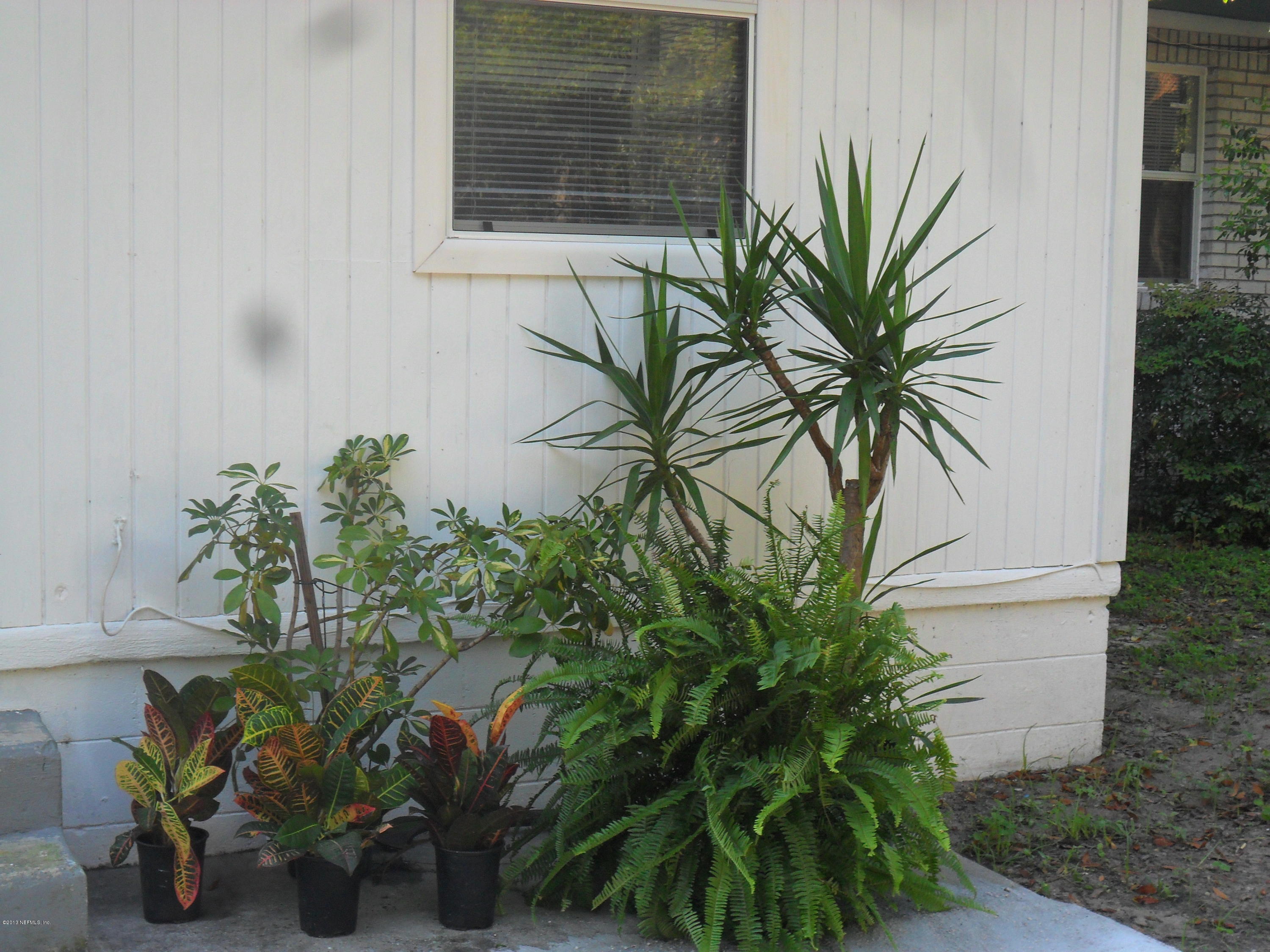 5751 Dickson Road Jacksonville, FL 32211 - Photo 54 of 82 SAM_0716