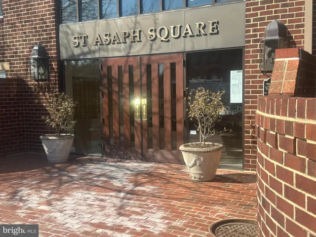 a view of a street with potted plants