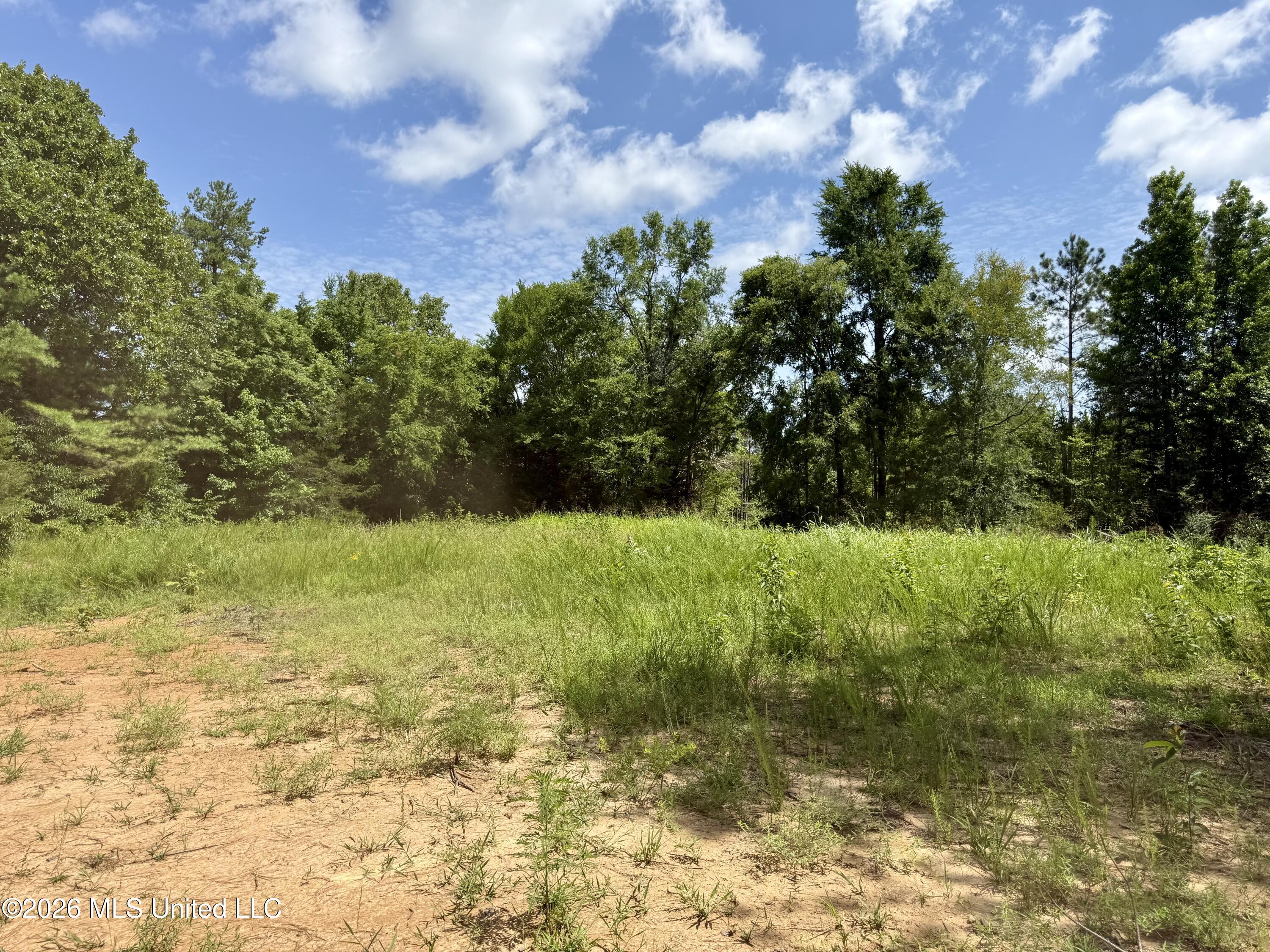 828 Little Egypt Road Ashland, MS 38603 - Photo 84 of 101 Photo Jun 30 2026, 11 15 33 AM