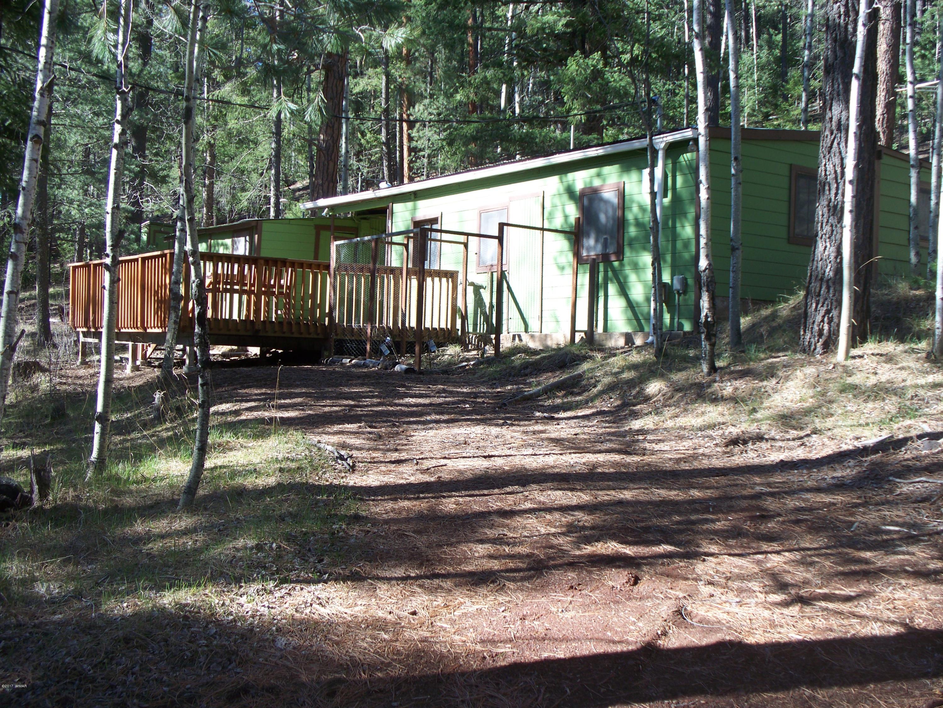 19 Spring Street Greer, AZ 85927 - Photo 2 of 7
