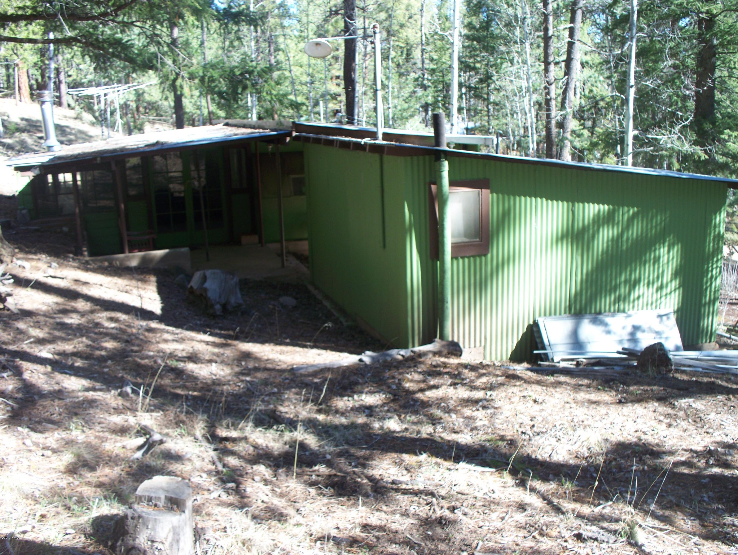 19 Spring Street Greer, AZ 85927 - Photo 3 of 7
