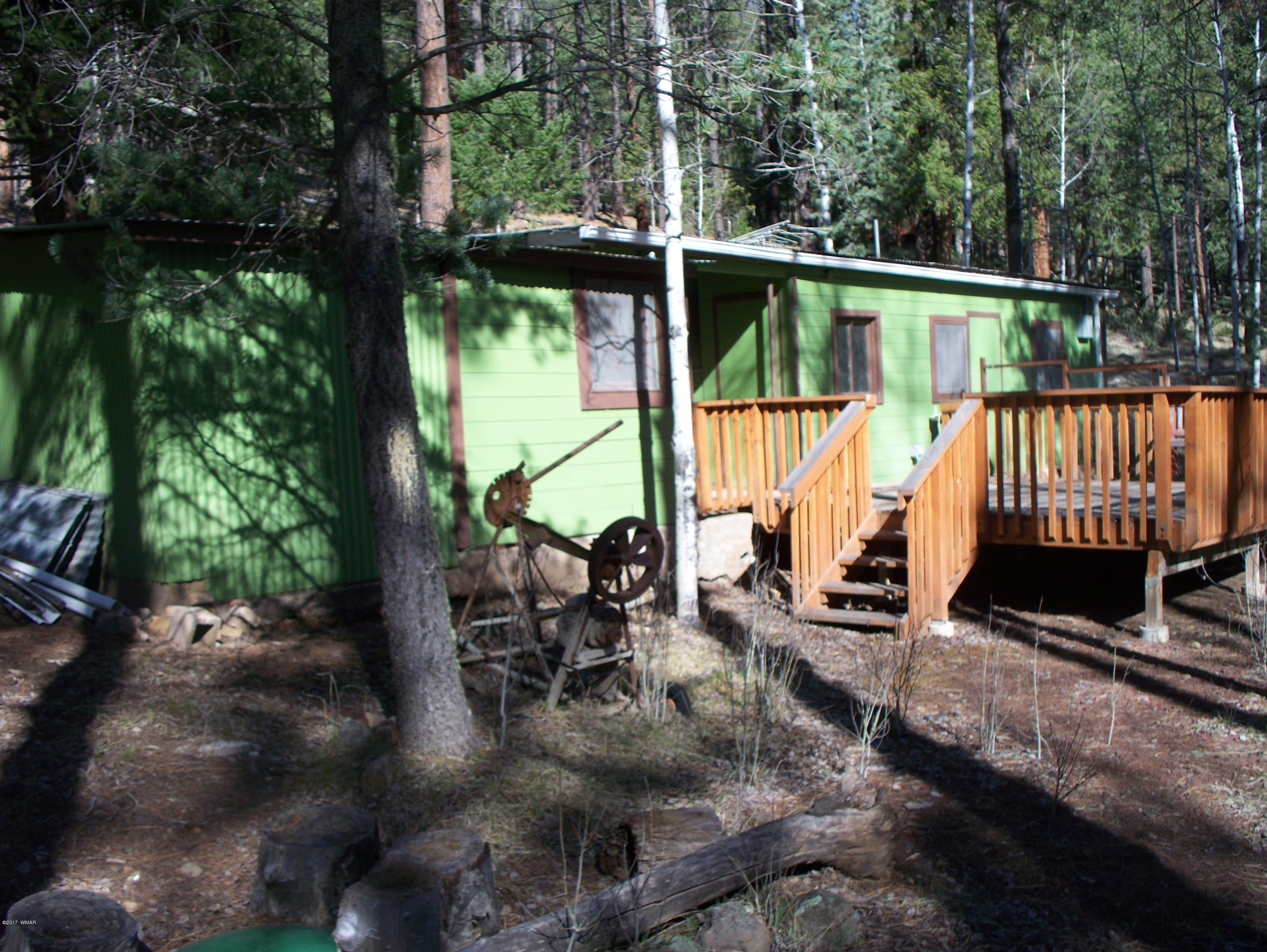 19 Spring Street Greer, AZ 85927 - Photo 4 of 7