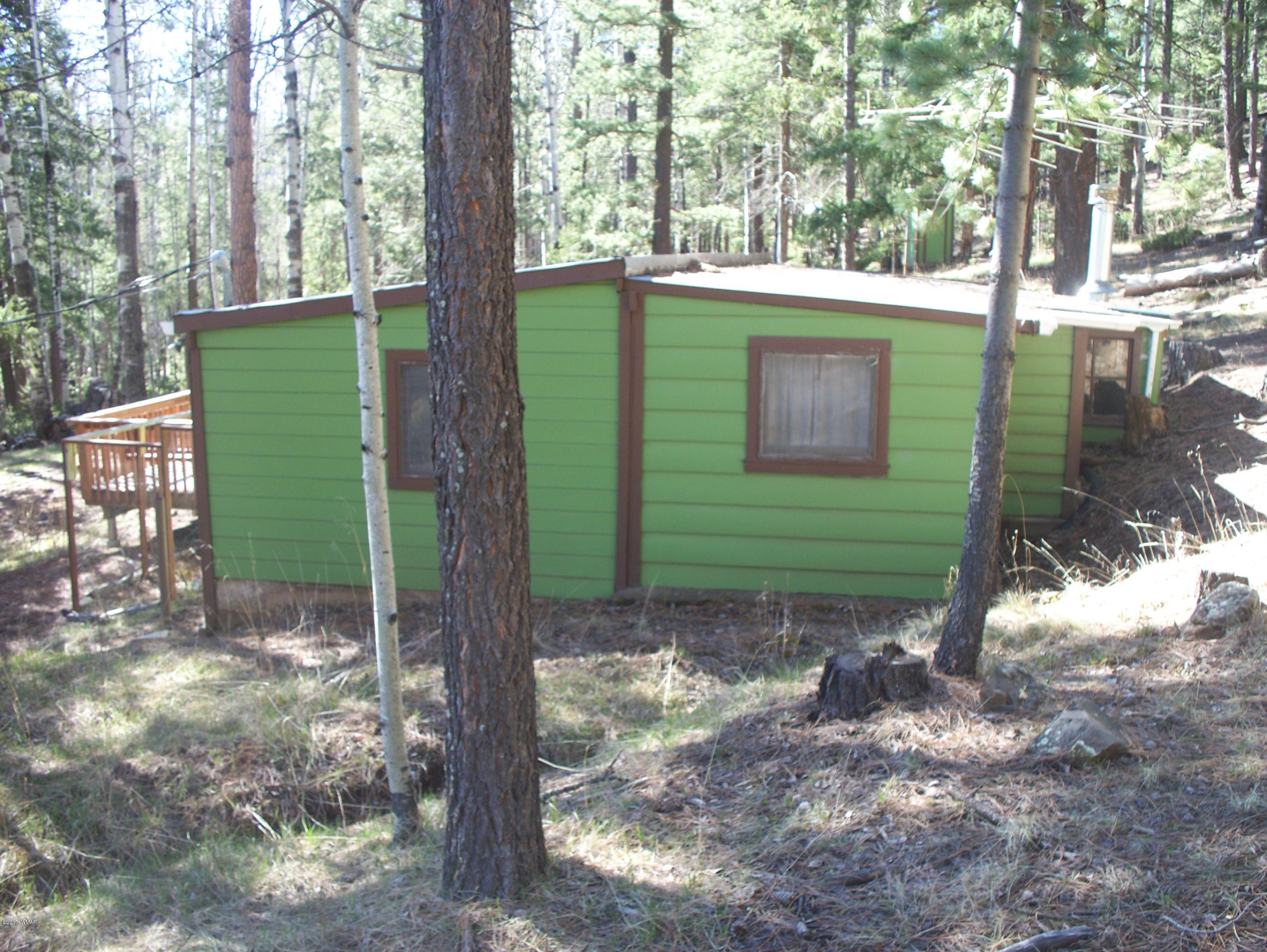 19 Spring Street Greer, AZ 85927 - Photo 5 of 7