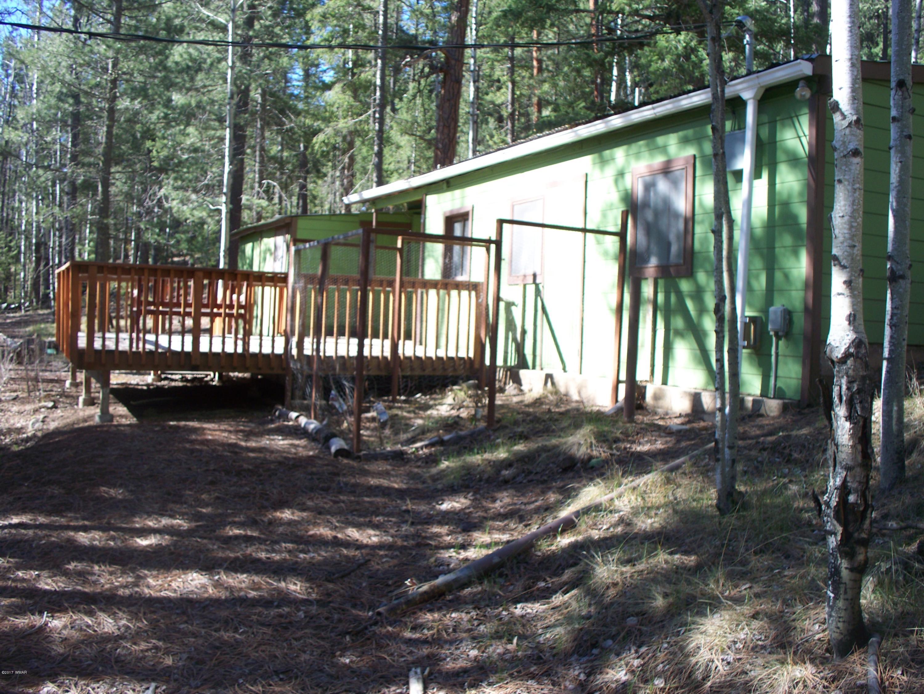 19 Spring Street Greer, AZ 85927 - Photo 6 of 7