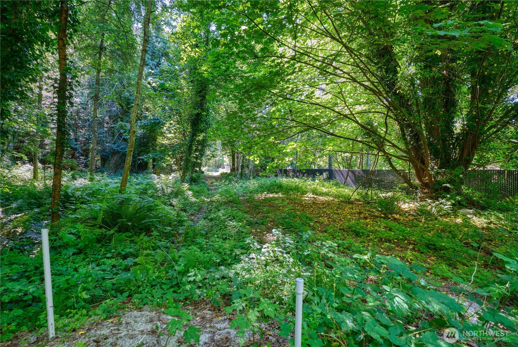 1885 Province Road Point Roberts, WA 98281 - Photo 9 of 16