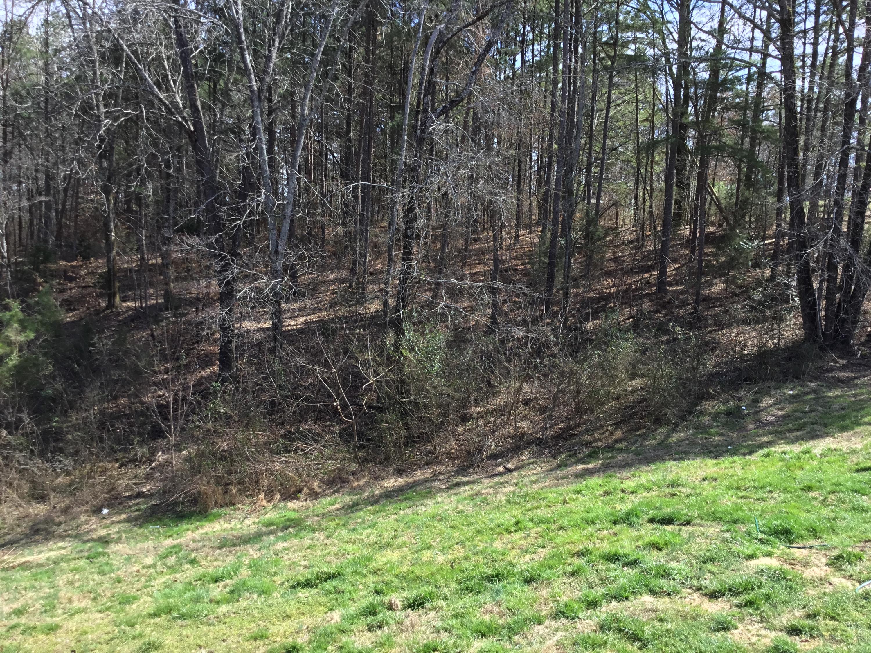 1159 Bicentennial Trail Rock Spring, GA 30739 - Photo 13 of 66 EEE7D4AC-90F9-4213-8778-E19F3B71A7C8