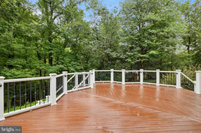 a view of a park with bench and trees