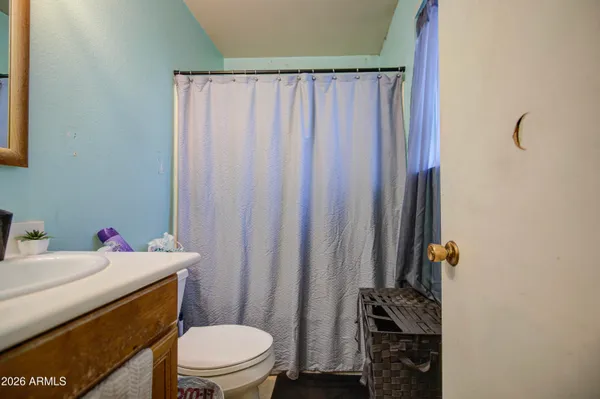 a bathroom with a sink a toilet and shower curtain