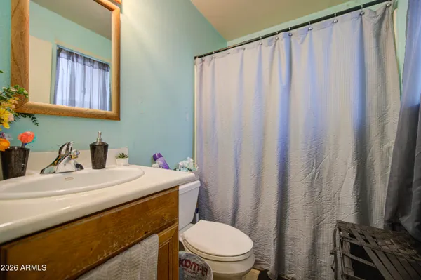 a bathroom with a sink a toilet and shower curtain