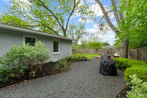 a view of a backyard with plants and a large tree