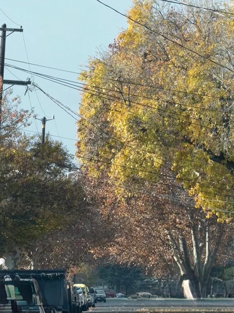 2403 Mountain View Drive Concord, CA 94520 - Photo 8 of 10