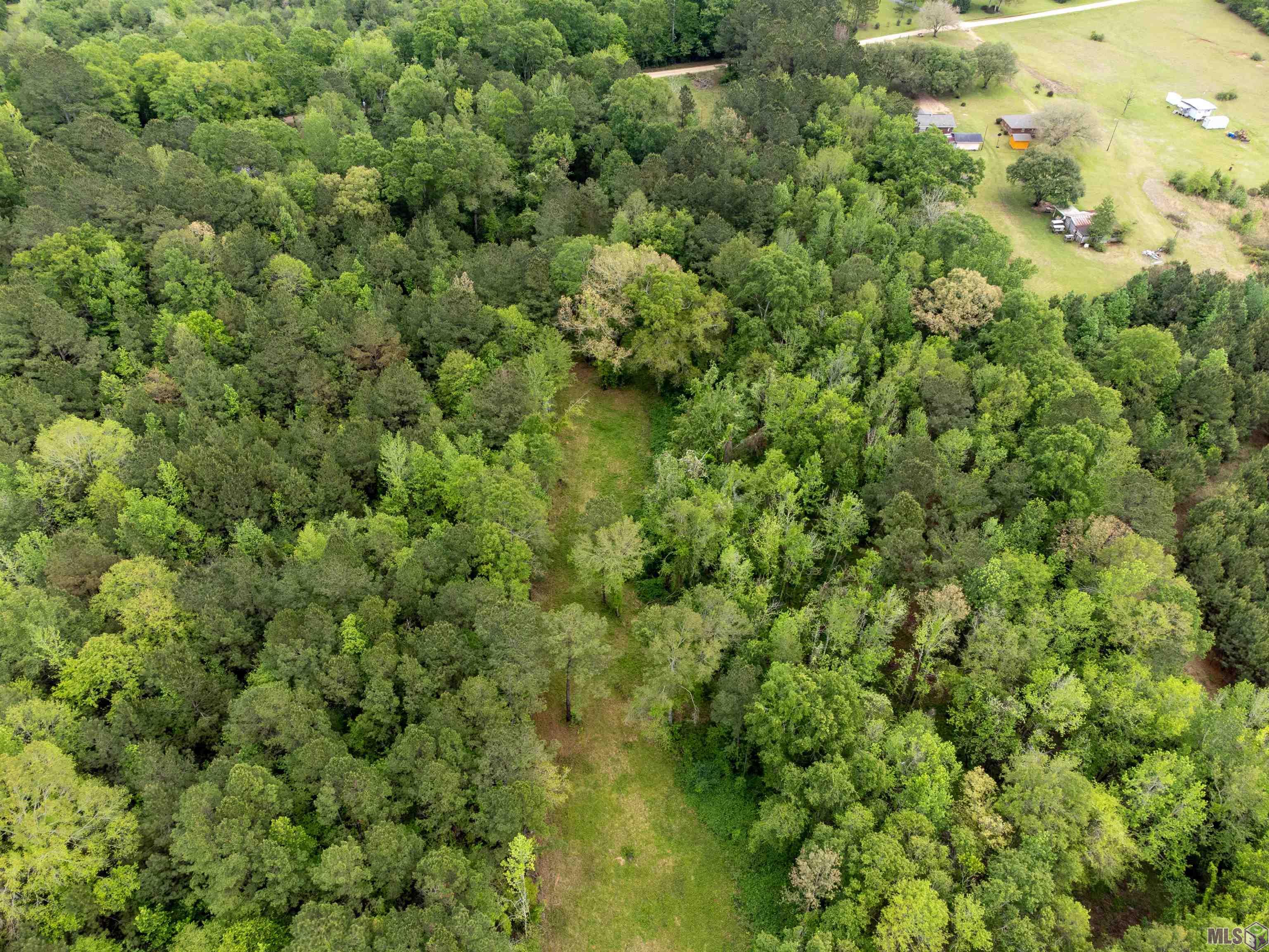 5614 River Road Clinton, LA 70722 - Photo 17 of 18 Gallery Image 17