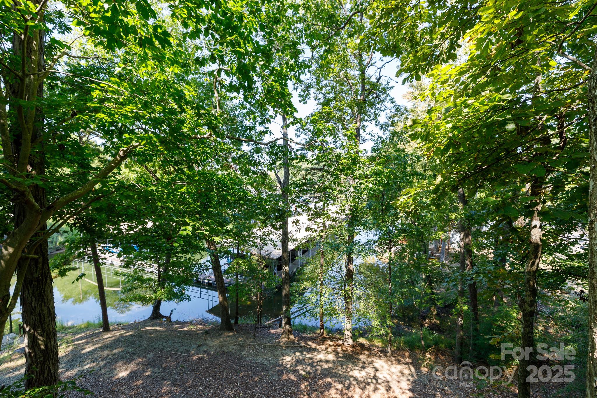 24014 Tidal Way Tega Cay, SC 29708 - Photo 24 of 38 Gallery Image 24
