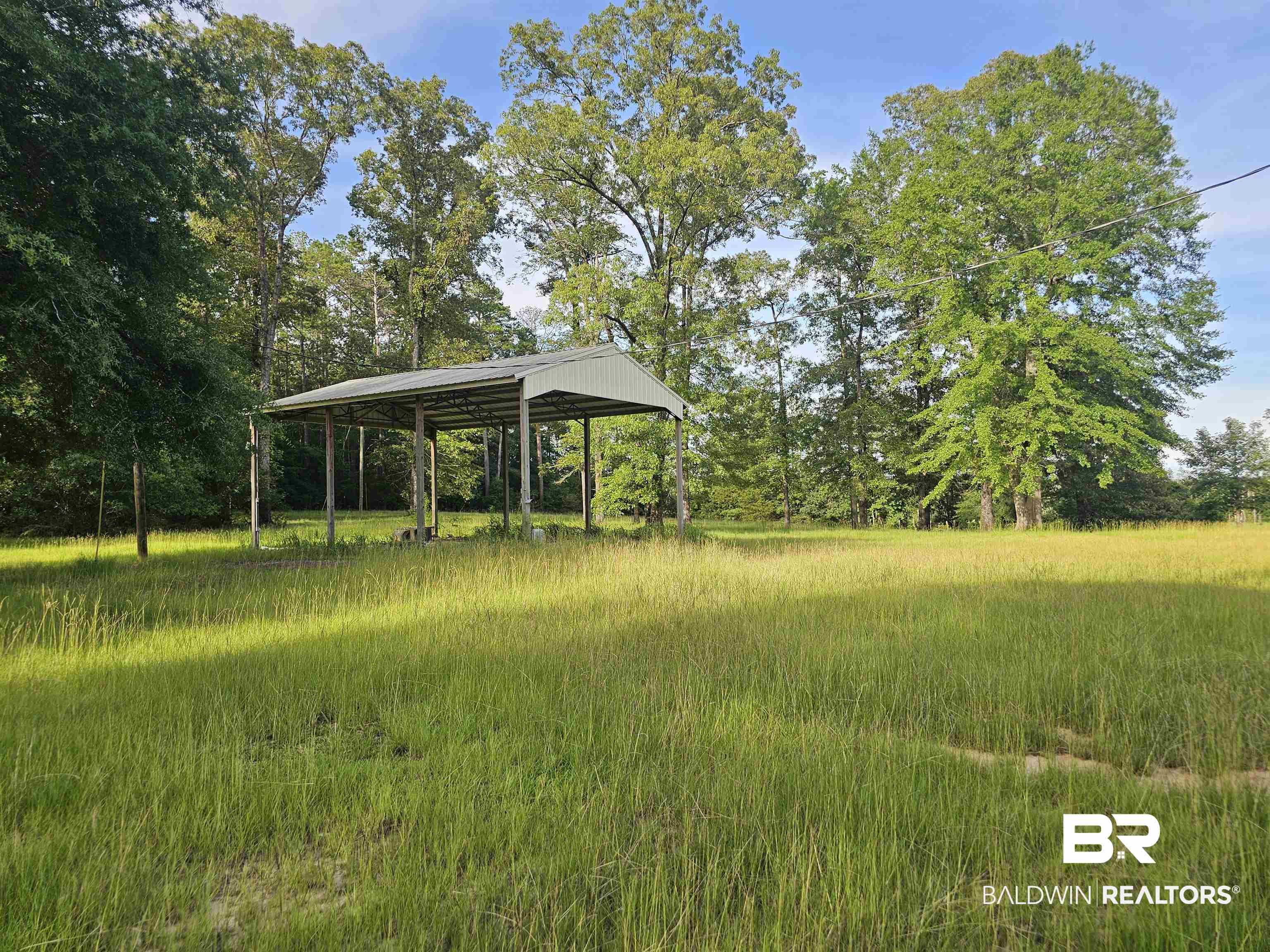 1863 Wait Road Monroeville, AL 36460 - Photo 27 of 38 View of yard