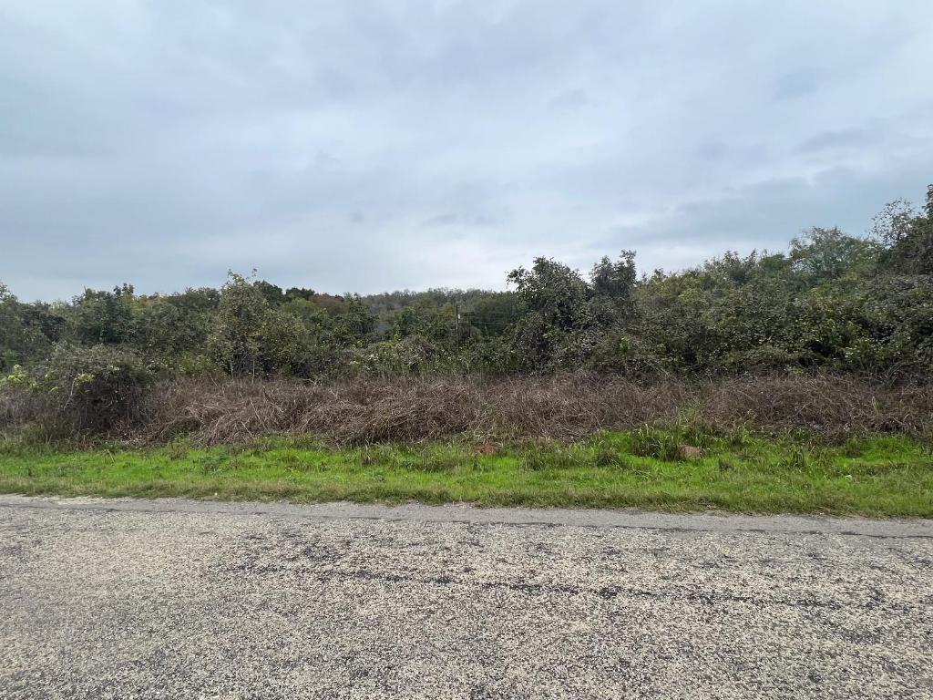450 Riverside Drive Bastrop, TX 78602 - Photo 2 of 5 a view of a dry yard with trees