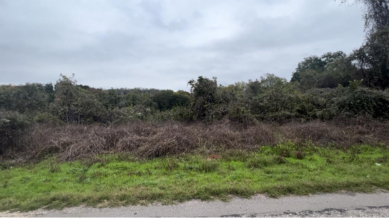 450 Riverside Drive Bastrop, TX 78602 - Photo 3 of 5 a view of a field of grass and trees