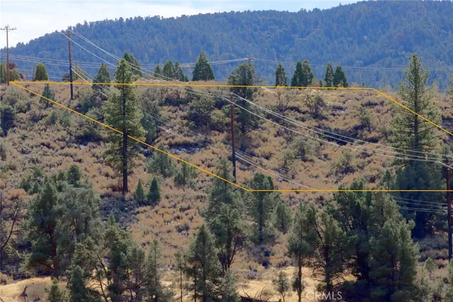 a view of a dry yard with wooden fence and plants