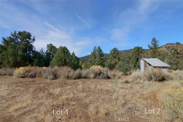 a view of a backyard of the house