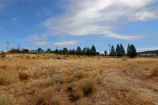 a view of swimming pool with a yard