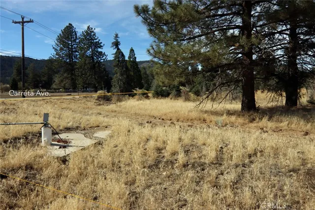 a view of dirt yard and a large tree