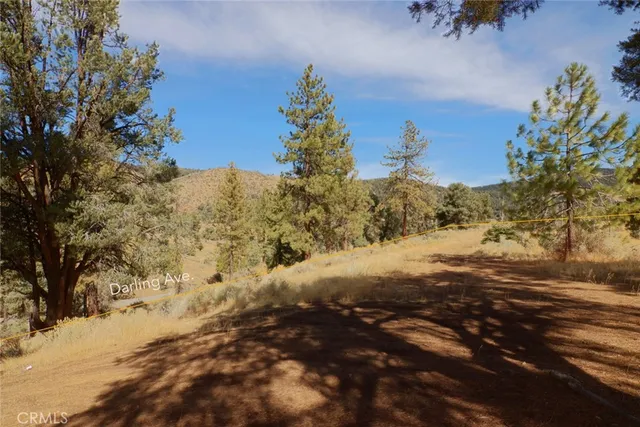 a view of a yard with a tree