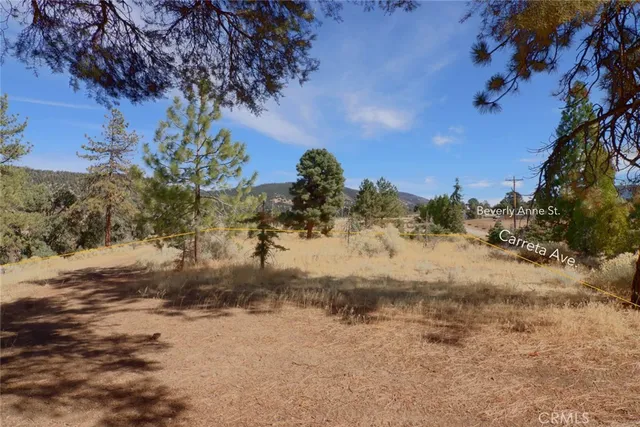 a view of snow on a road