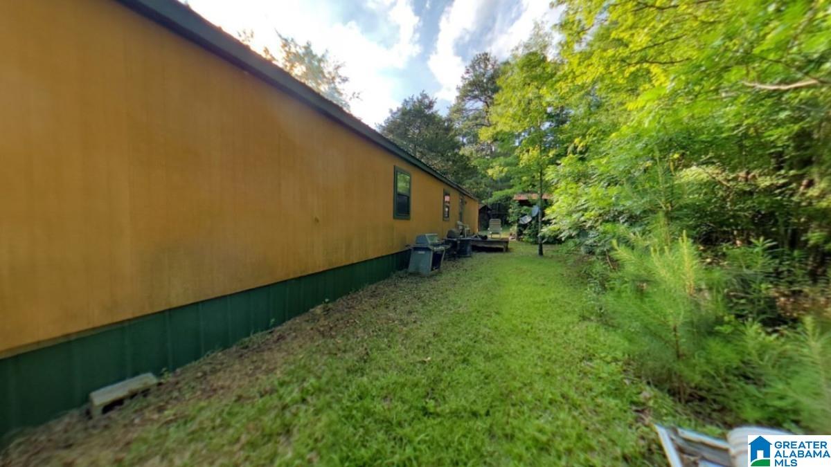 2116 Tom Cat Road Piedmont, AL 36272 - Photo 5 of 18
