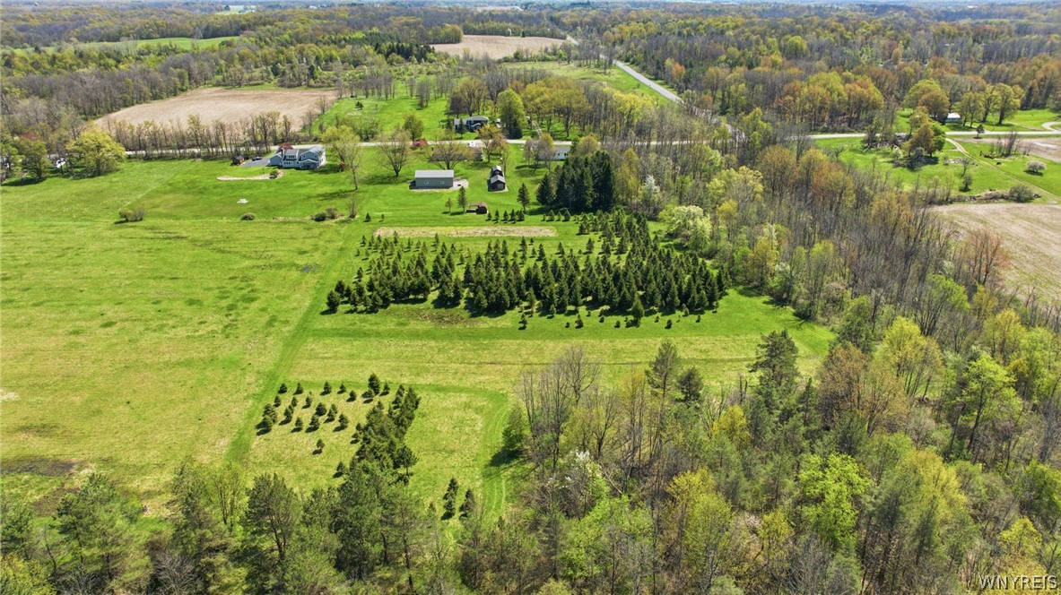 9832 Francis Road Batavia, NY 14020 - Photo 7 of 49