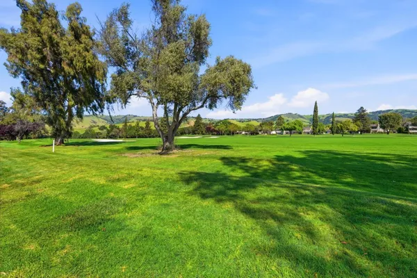 a view of a grassy field with trees around
