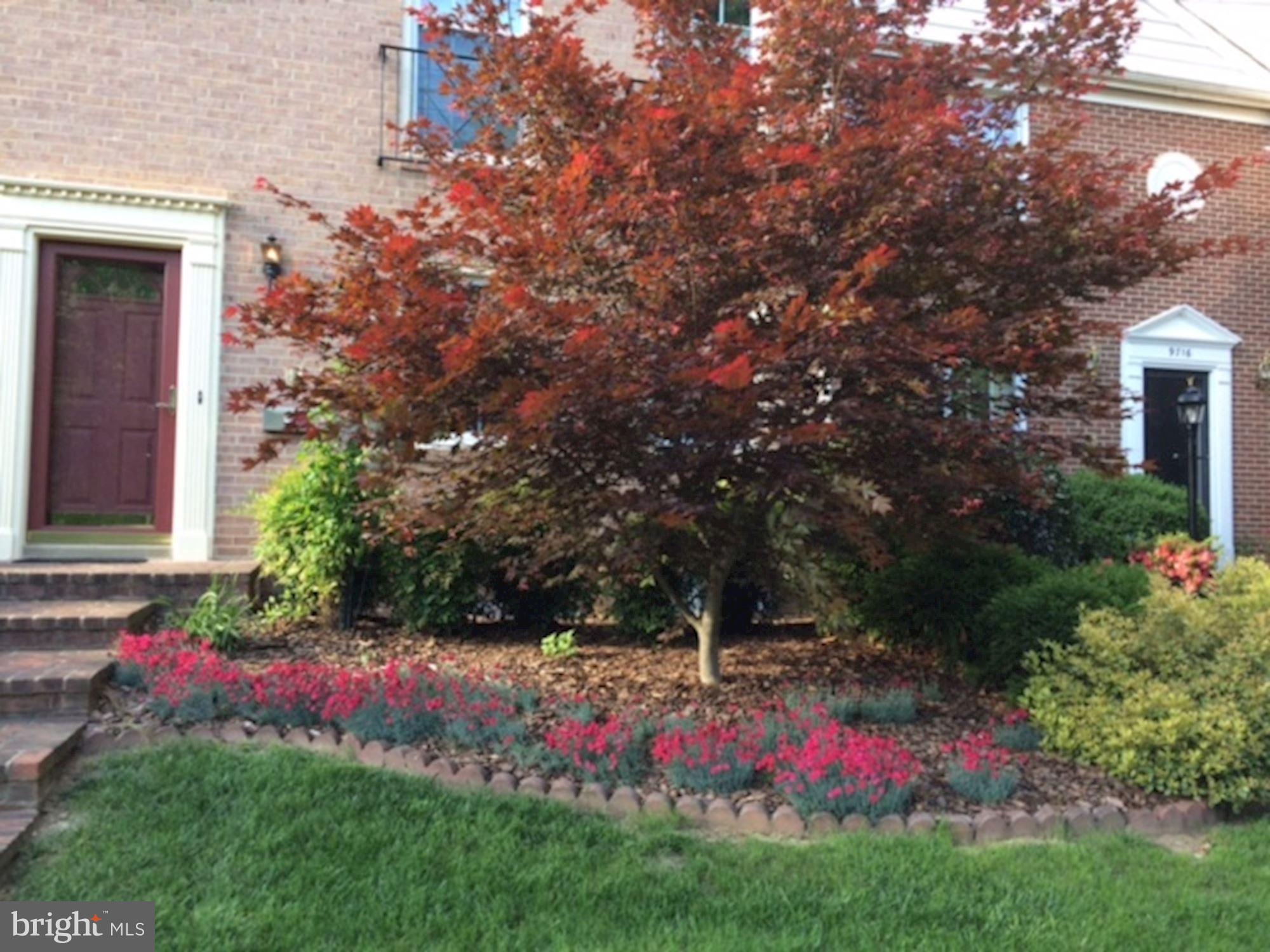 9718 Ranger Road Fairfax, VA 22030 - Photo 22 of 29 Spring Flowers!