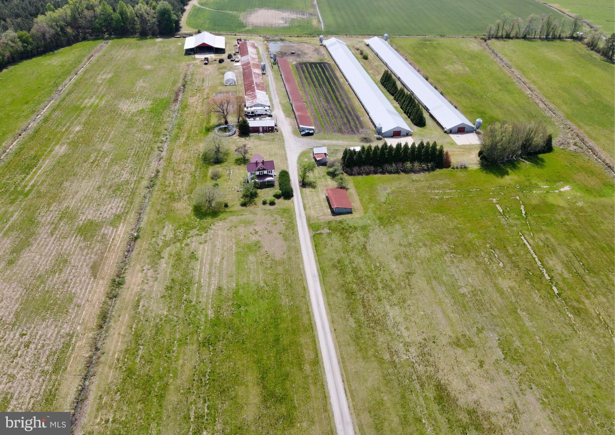 a view of a yard with an outdoor space