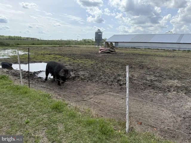 a view of a garden with a bench