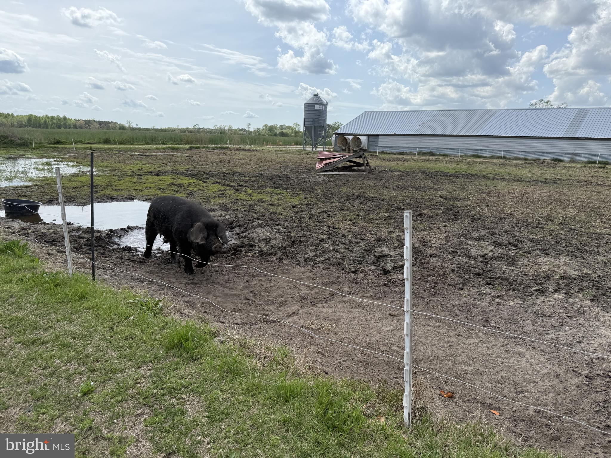 36555 Sheppards Crossing Road Willards, MD 21874 - Photo 17 of 47 a view of a lake with a terrace