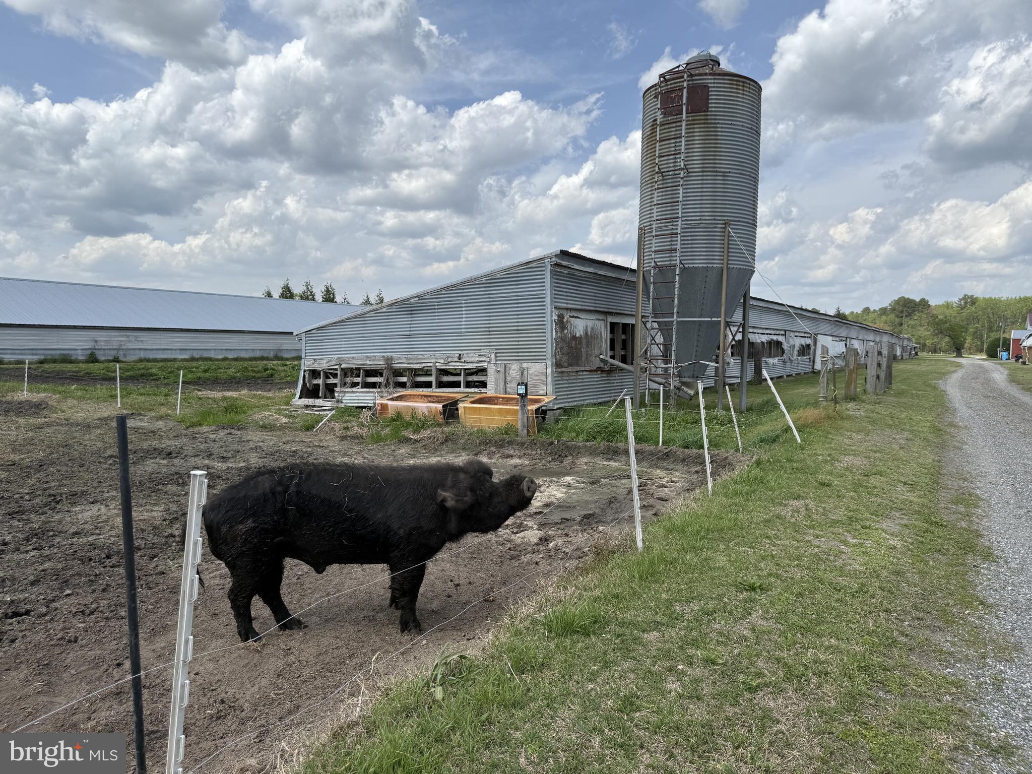 36555 Sheppards Crossing Road Willards, MD 21874 - Photo 18 of 47 a view of a garden with a bench
