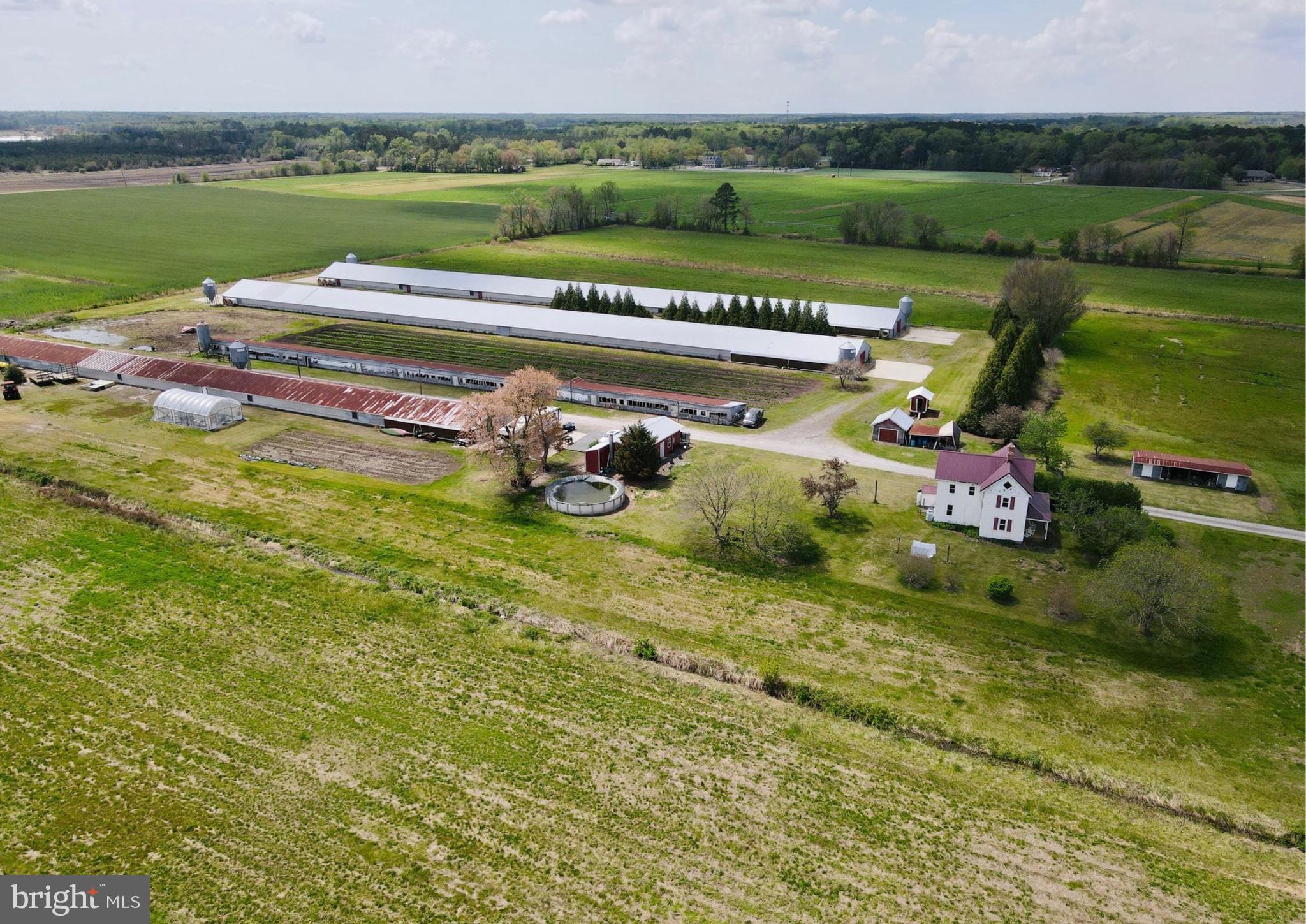36555 Sheppards Crossing Road Willards, MD 21874 - Photo 3 of 47 a view of a lake with a mountain
