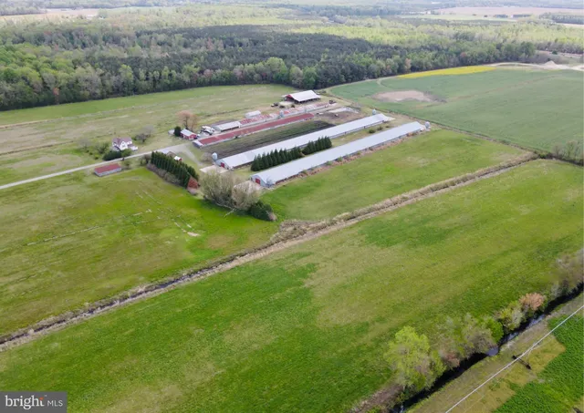 a view of an outdoor space and yard