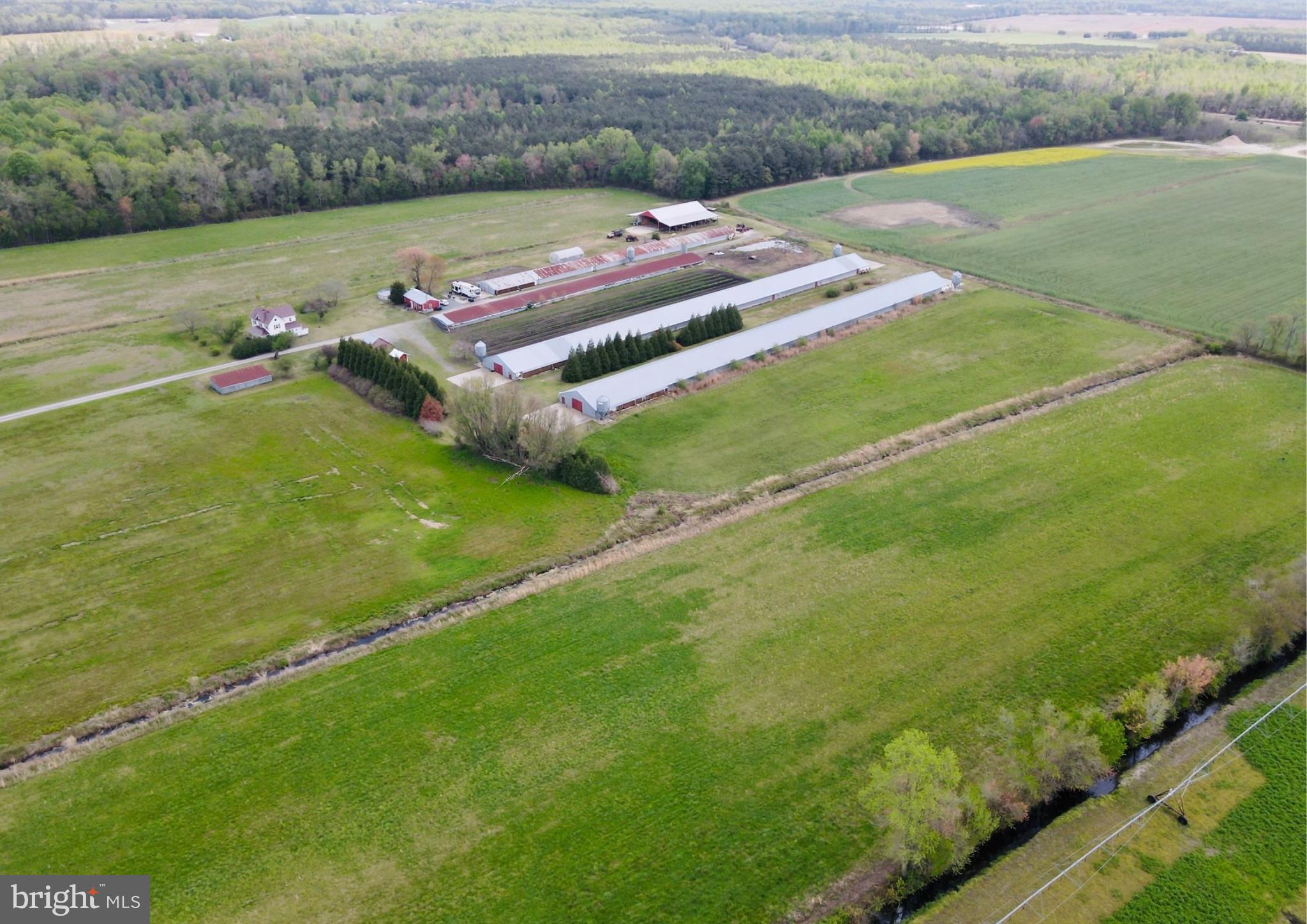 36555 Sheppards Crossing Road Willards, MD 21874 - Photo 4 of 47 a bench sitting in the middle of a field