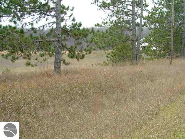 1575 Darke Road Kalkaska, MI 49646 - Photo 14 of 15 1721424-13.JPG